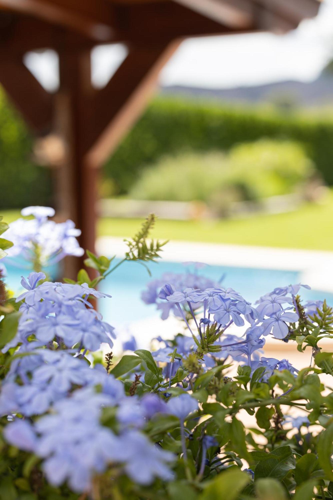 Finca La Marina Denia Εξωτερικό φωτογραφία